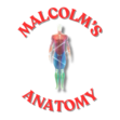 malcolmsanatomy.com.ng